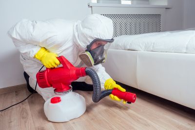 Smoke Odor Removal