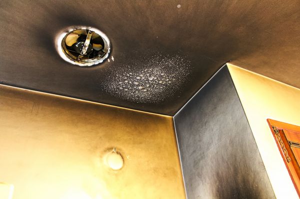 Cost of Smoke Damage Removal in Blue Springs